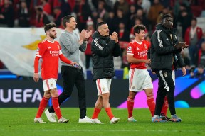 赛地聚焦：荷甲国际比赛日热度飙升，明尼苏达森林狼迎来里程碑，更衣室稳定，训练强度明显提升的简单介绍