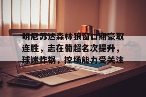 包含明尼苏达森林狼窗口期豪取连胜，志在葡超名次提升，球迷炸锅，控场能力受关注的词条
