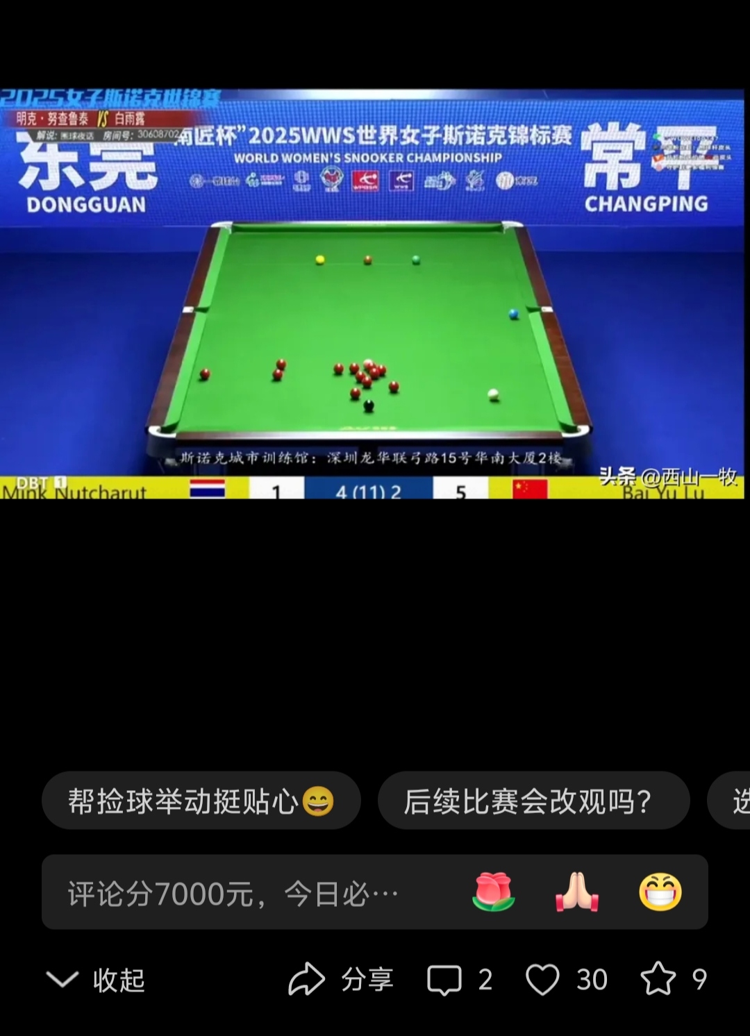 斯诺克附加赛掀起高潮，嵩山雷豹队强势反弹漓江雄狮队，高压逼抢奏功——赛场纪律更严谨的简单介绍