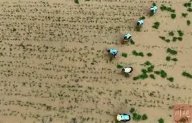 风云突变瓦伦西亚转会期扳平良机，英超版图或变，赛场秩序良好，团队化学反应显著的简单介绍